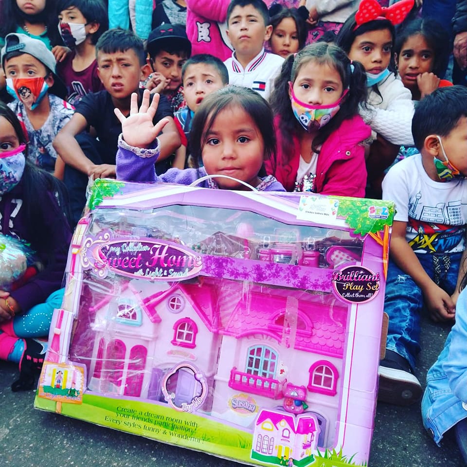 Programas de voluntariado y medio ambiente